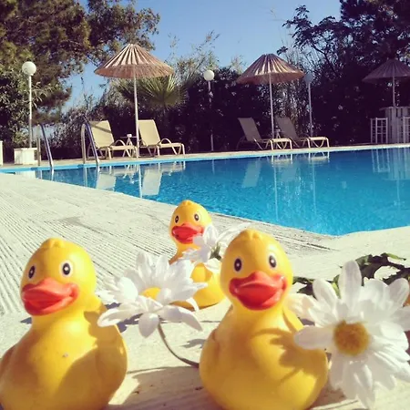 Hotel (adults Only) Hersonissos (Crete)