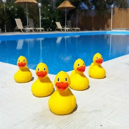 Hotel (adults Only)